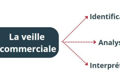 La veille ne se limite pas à la collecte de données